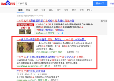 广东竹鼠